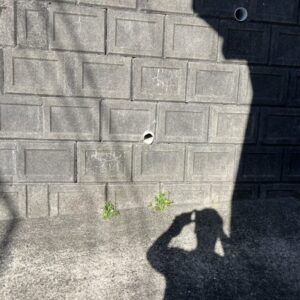 太宰府市で家のリフォーム前に建具など回収